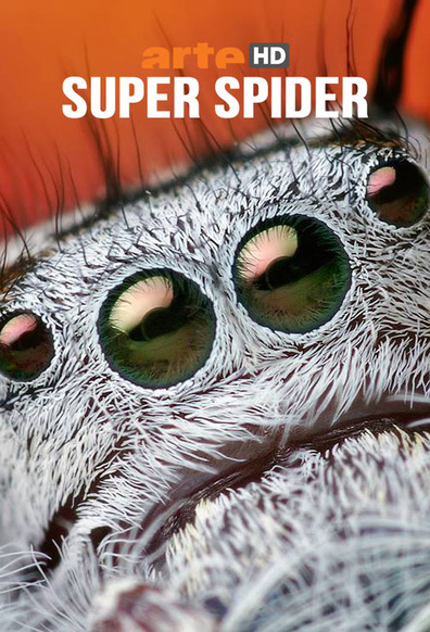 Movies Super Spider poster
