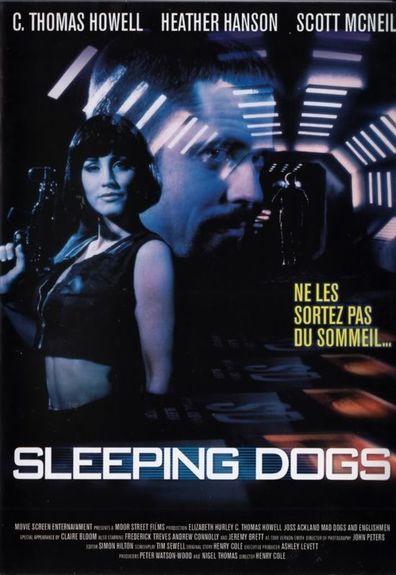 Movies Sleeping Dogs poster