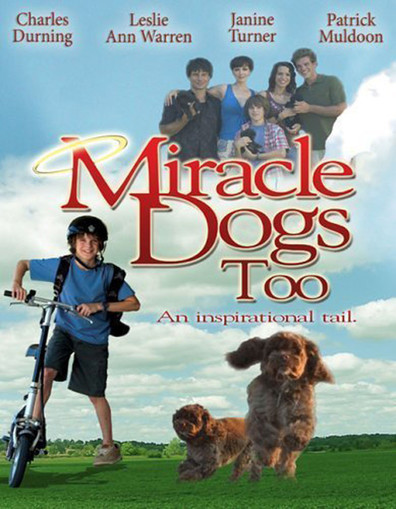 Movies Miracle Dogs Too poster