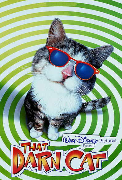 Movies That Darn Cat poster