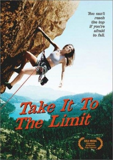 Movies Take It to the Limit poster