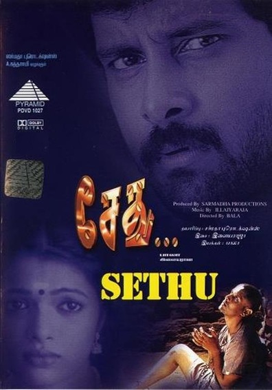 Movies Sethu poster