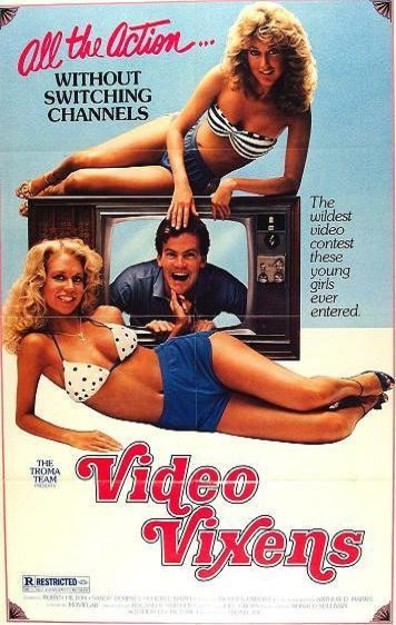 Movies Video Vixens poster