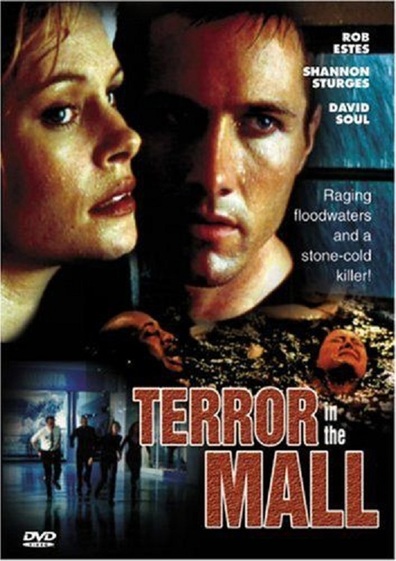 Movies Terror in the Mall poster