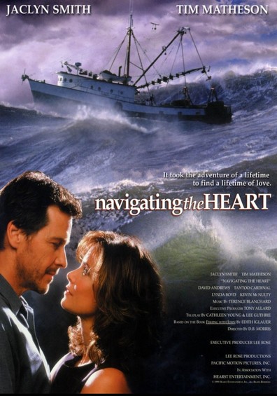 Movies Navigating the Heart poster