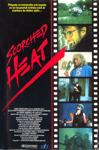 Movies Scorched Heat poster