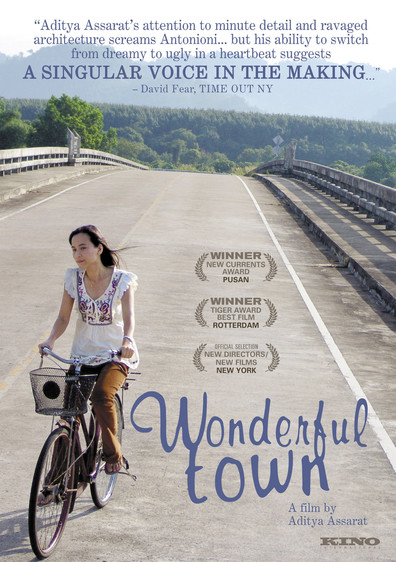 Movies Wonderful Town poster