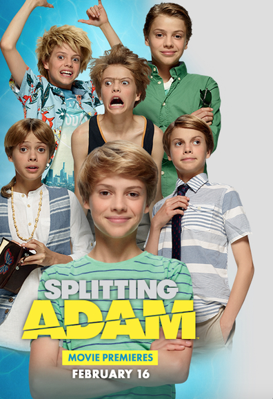 Movies Splitting Adam poster