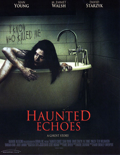Movies Haunted Echoes poster