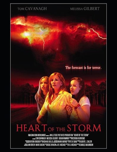 Movies Heart of the Storm poster