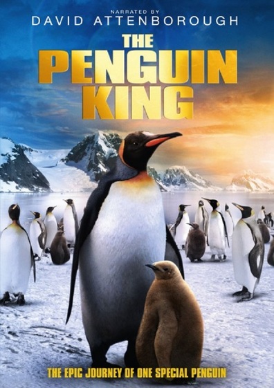 Movies The Penguin King 3D poster