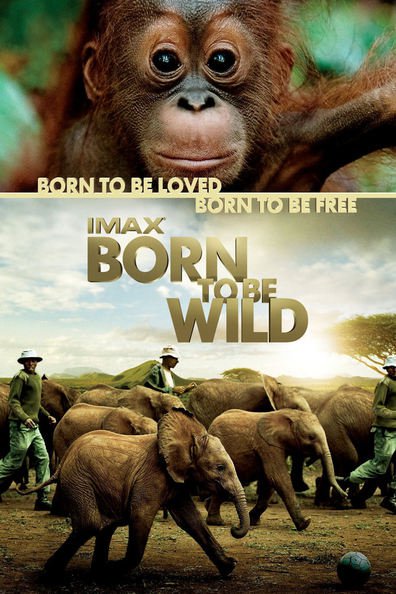 Movies Born to Be Wild poster