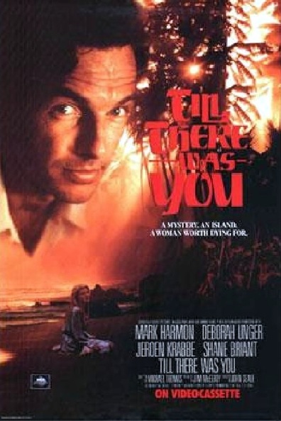 Movies Till There Was You poster