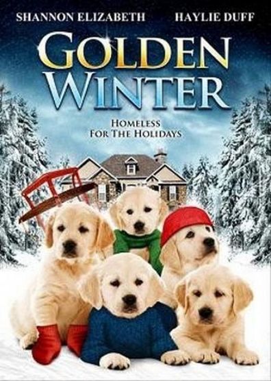 Movies Golden Winter poster