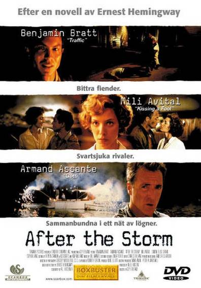 Movies After the Storm poster