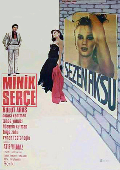 Movies Minik Serce poster