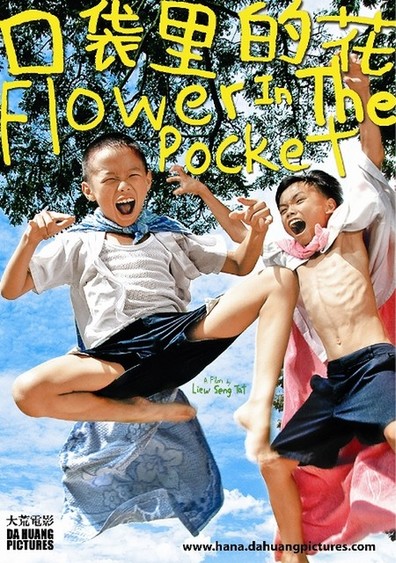 Movies Flower in the Pocket poster