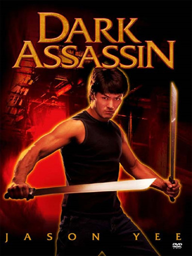 Movies Dark Assassin poster