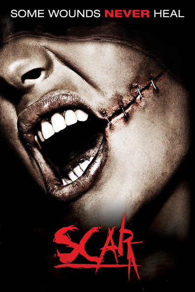 Movies Scar poster