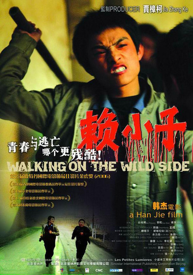 Movies Lai xiao zi poster