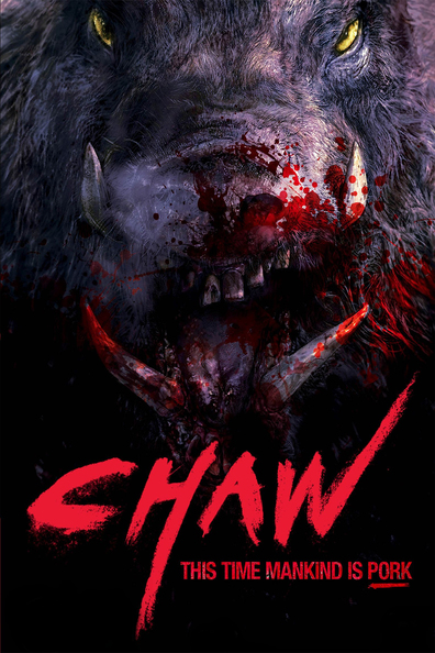 Movies Chawu poster