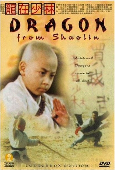 Movies Long zai Shaolin poster