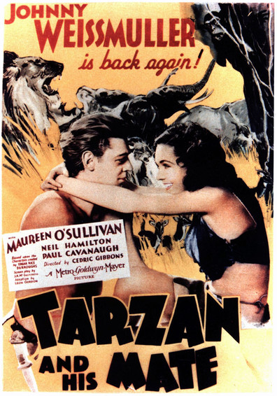 Movies Tarzan and His Mate poster