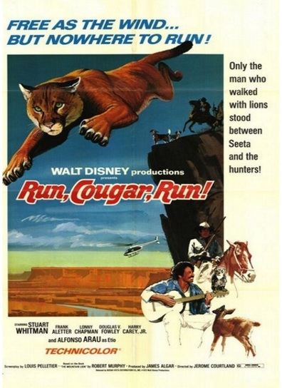Movies Run, Cougar, Run poster