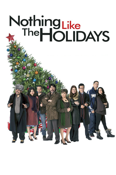 Movies Nothing Like the Holidays poster