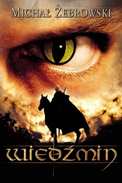 Movies Wiedzmin poster