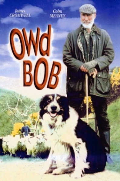 Movies Owd Bob poster