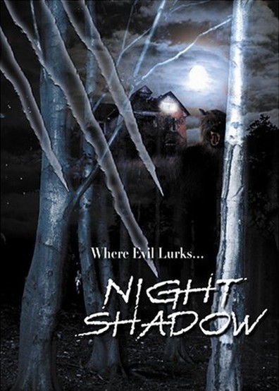 Movies Night Shadow poster