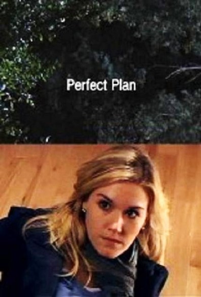 Movies Perfect Plan poster