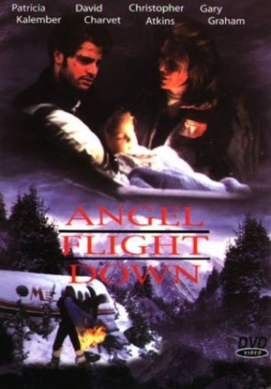 Movies Angel Flight Down poster