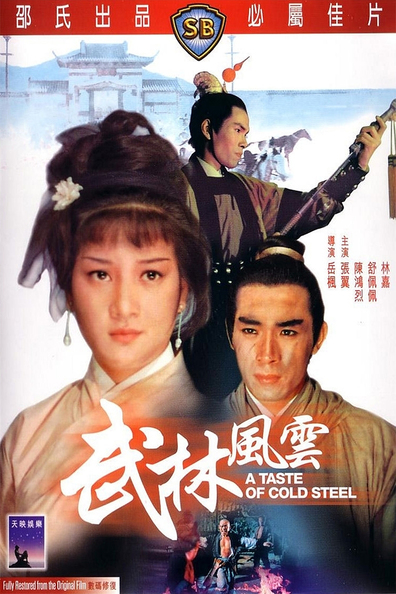 Movies Wu lin feng yun poster