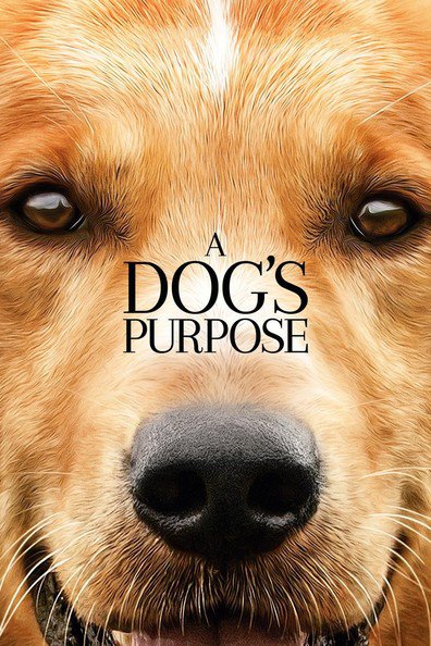 Movies A Dog's Purpose poster