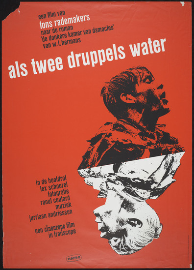Movies Als twee druppels water poster
