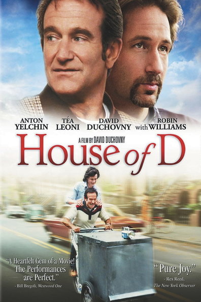 Movies House of D poster