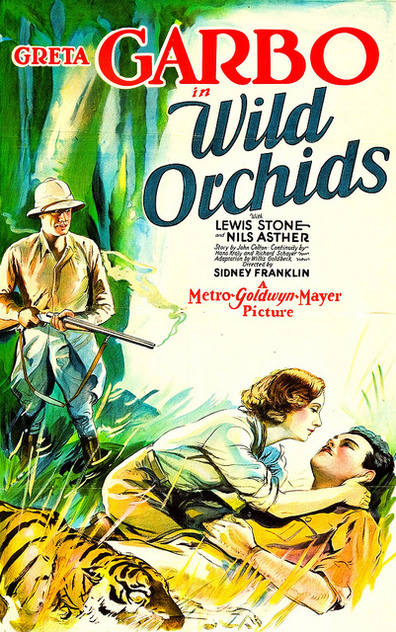 Movies Wild Orchids poster