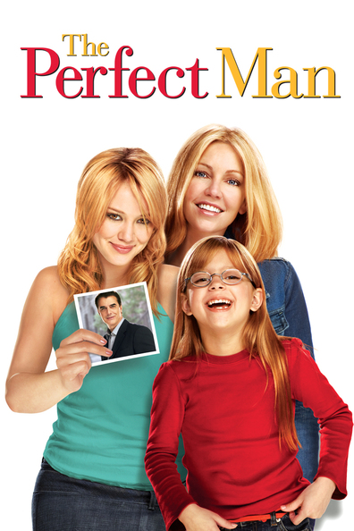 Movies The Perfect Man poster