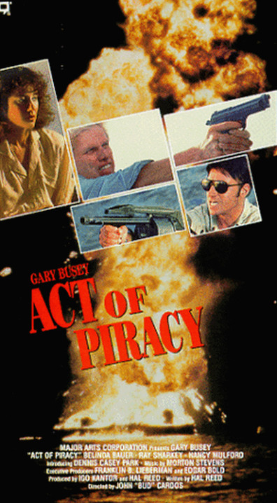 Movies Act of Piracy poster