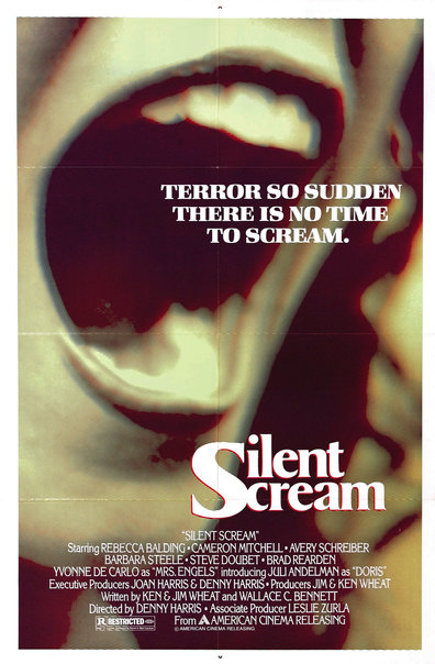 Movies The Silent Scream poster