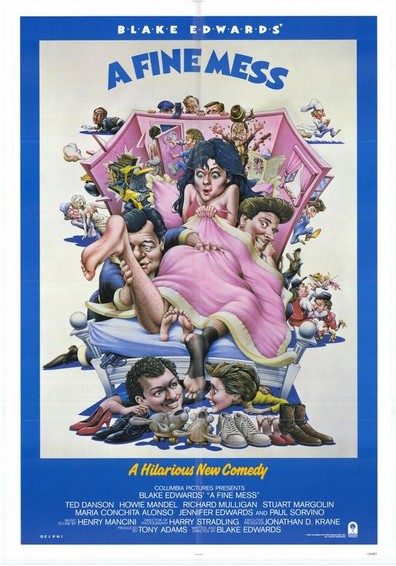 Movies A Fine Mess poster