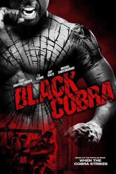 Movies Black Cobra poster