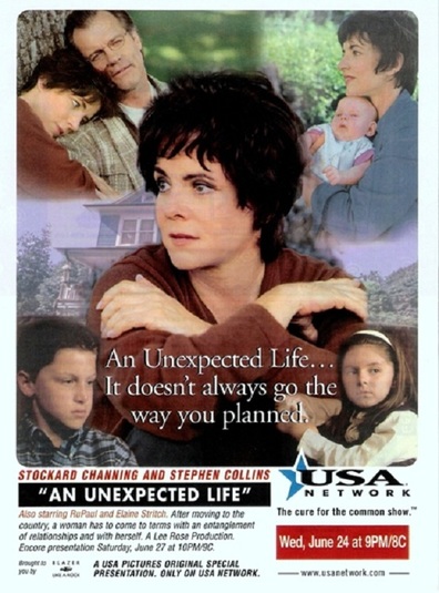 Movies An Unexpected Life poster