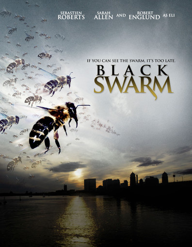 Movies Black Swarm poster