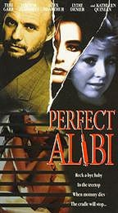 Movies Perfect Alibi poster