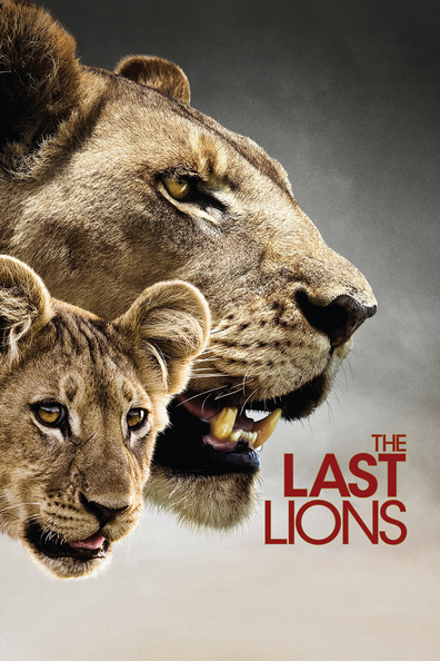 Movies The Last Lions poster