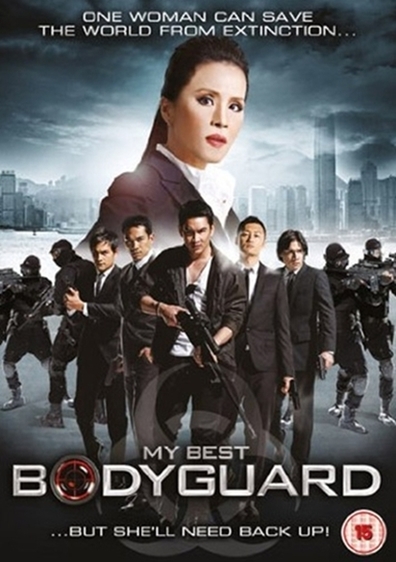 Movies My best bodyguard poster