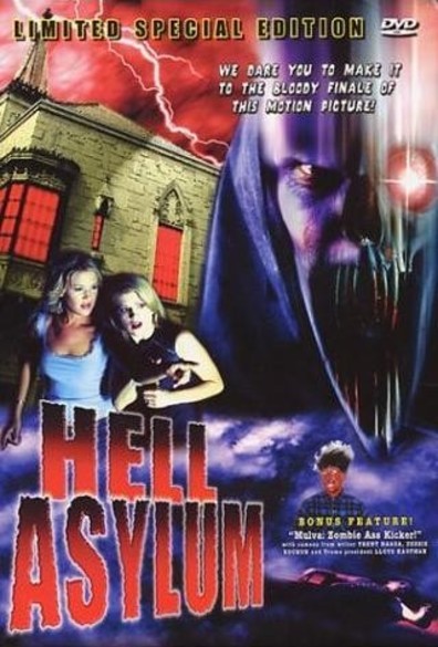 Movies Hell Asylum poster
